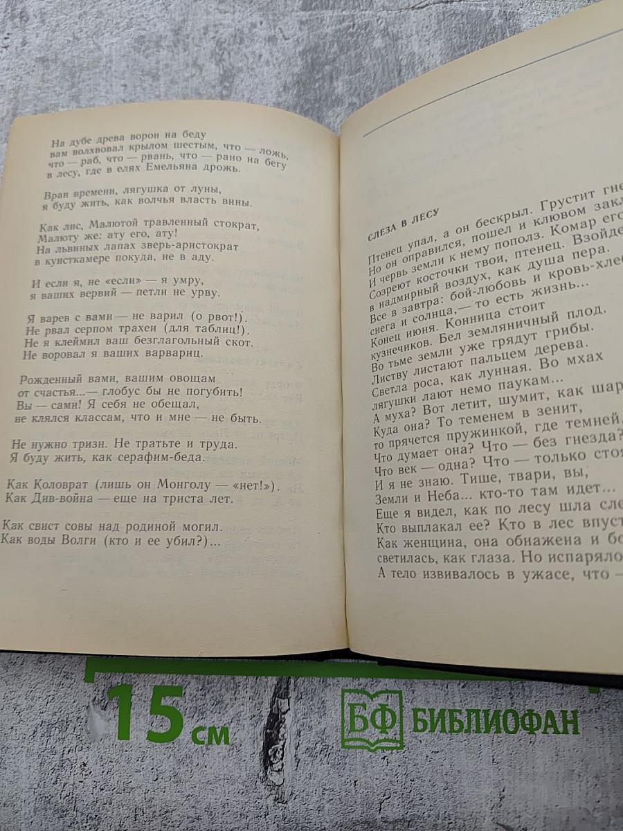 Возвращение к морю: Лирика