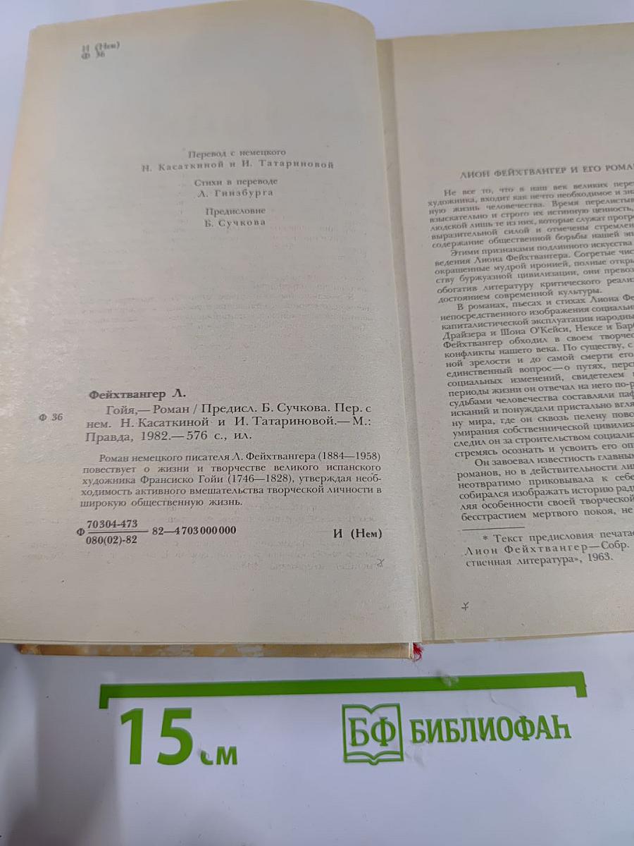 Гойя, или Тяжкий путь познания