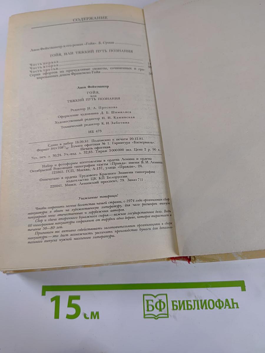 Гойя, или Тяжкий путь познания