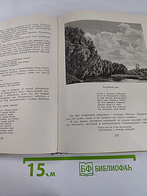 Тарханская пора