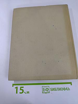 Тарханская пора