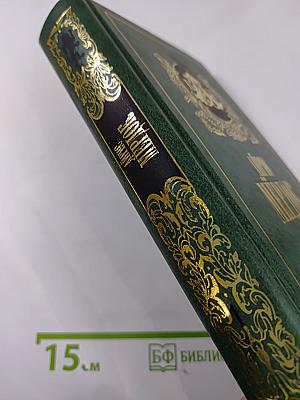 Дикая роза; Под сетью. Романы. Том первый