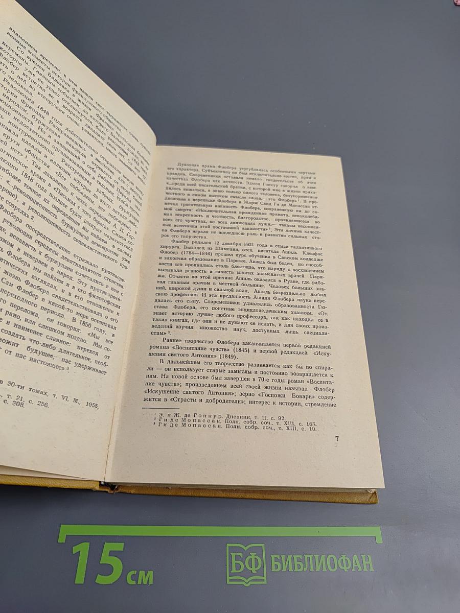 Госпожа Бовари