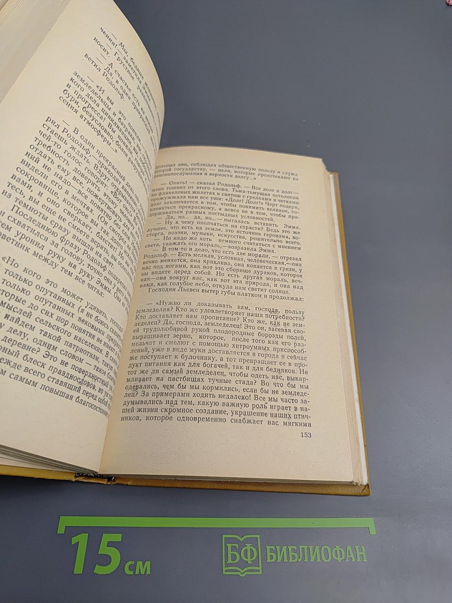 Госпожа Бовари