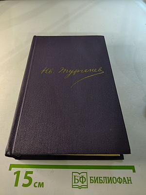 Полное собрание сочинений и писем в тридцати томах. Сочинения. Том 5. Повести и рассказы. Рудин. Статьи и воспоминания