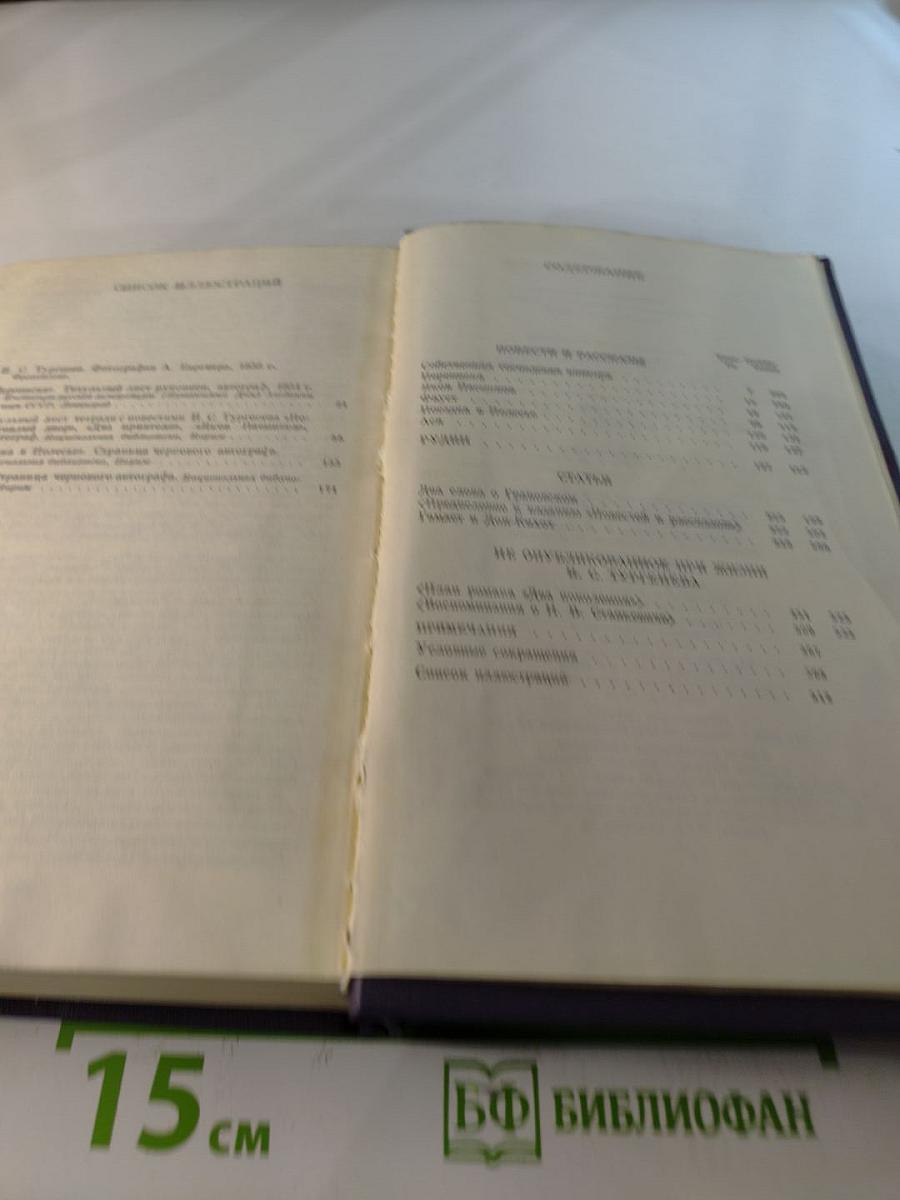 Полное собрание сочинений и писем в тридцати томах. Сочинения. Том 5. Повести и рассказы. Рудин. Статьи и воспоминания