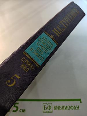 Полное собрание сочинений и писем в тридцати томах. Сочинения. Том 5. Повести и рассказы. Рудин. Статьи и воспоминания