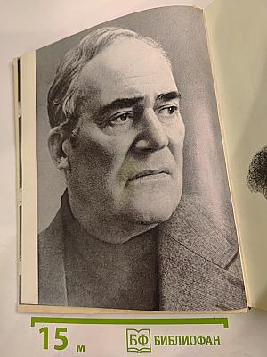 День летящий