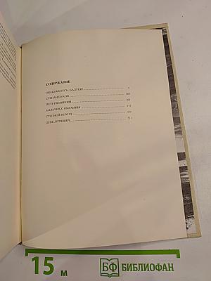 День летящий