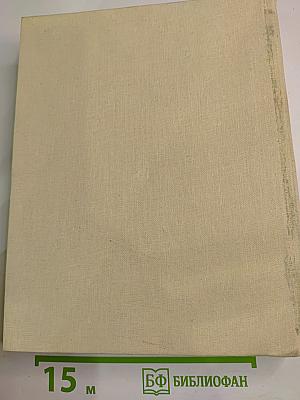 День летящий