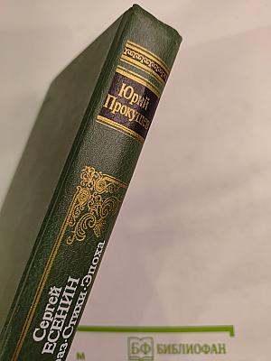 Сергей Есенин. Образ·Стихи·Эпоха