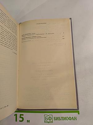 Пора надежд. Возвращение домой