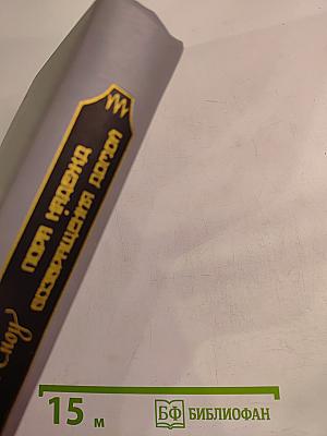 Пора надежд. Возвращение домой