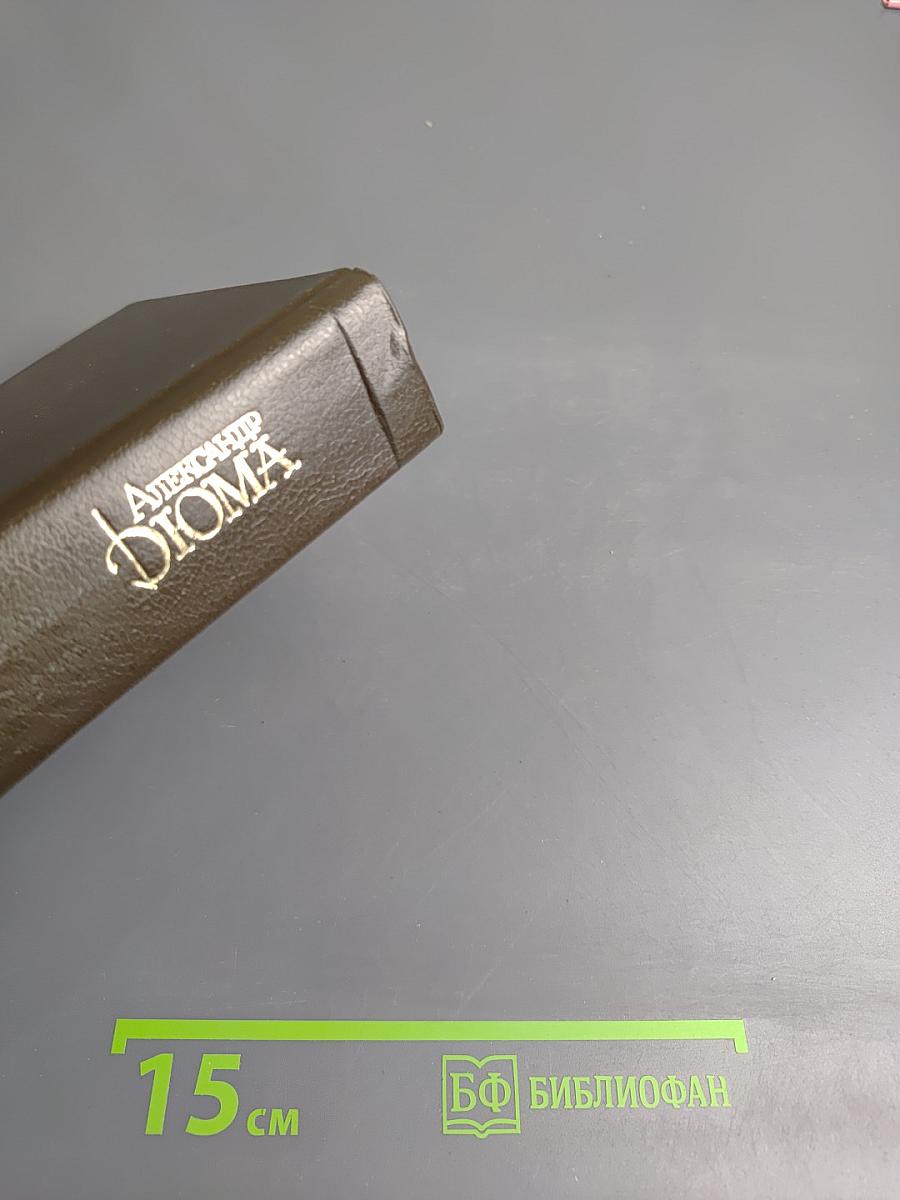 Королева Марго (Собрание сочинений, Том 2)