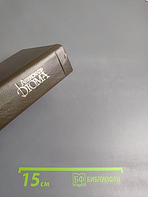 Королева Марго (Собрание сочинений, Том 2)