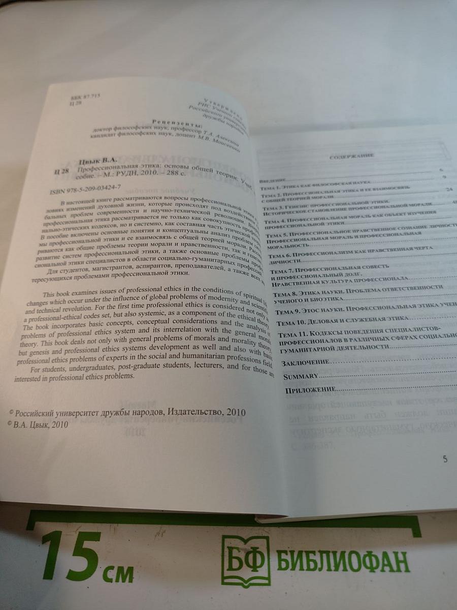 Профессиональная этика: Основы общей теории