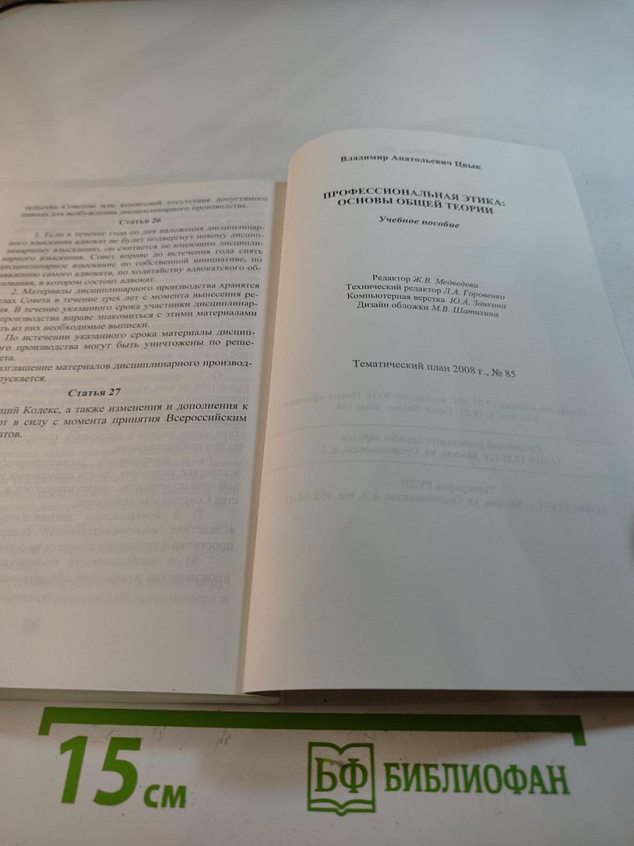 Профессиональная этика: Основы общей теории