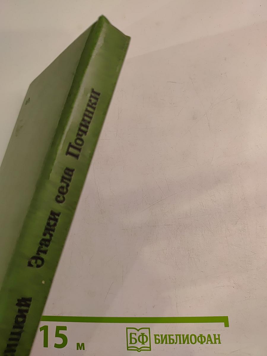 Этажи села Починки