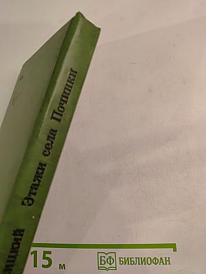 Этажи села Починки