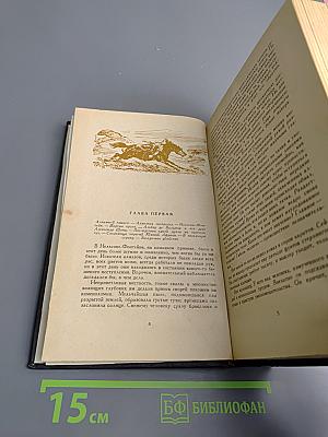 Похитители бриллиантов