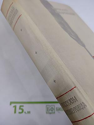 Рассказы литературоведа