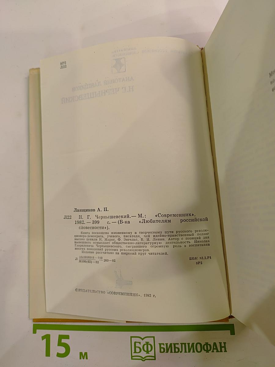 Н.Г. Чернышевский