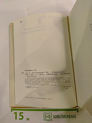 Н.Г. Чернышевский