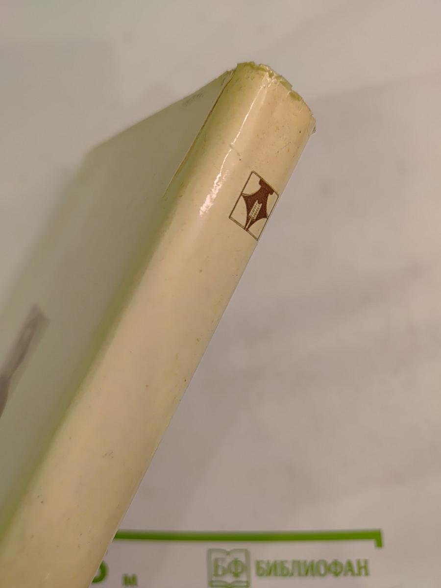 Н.Г. Чернышевский