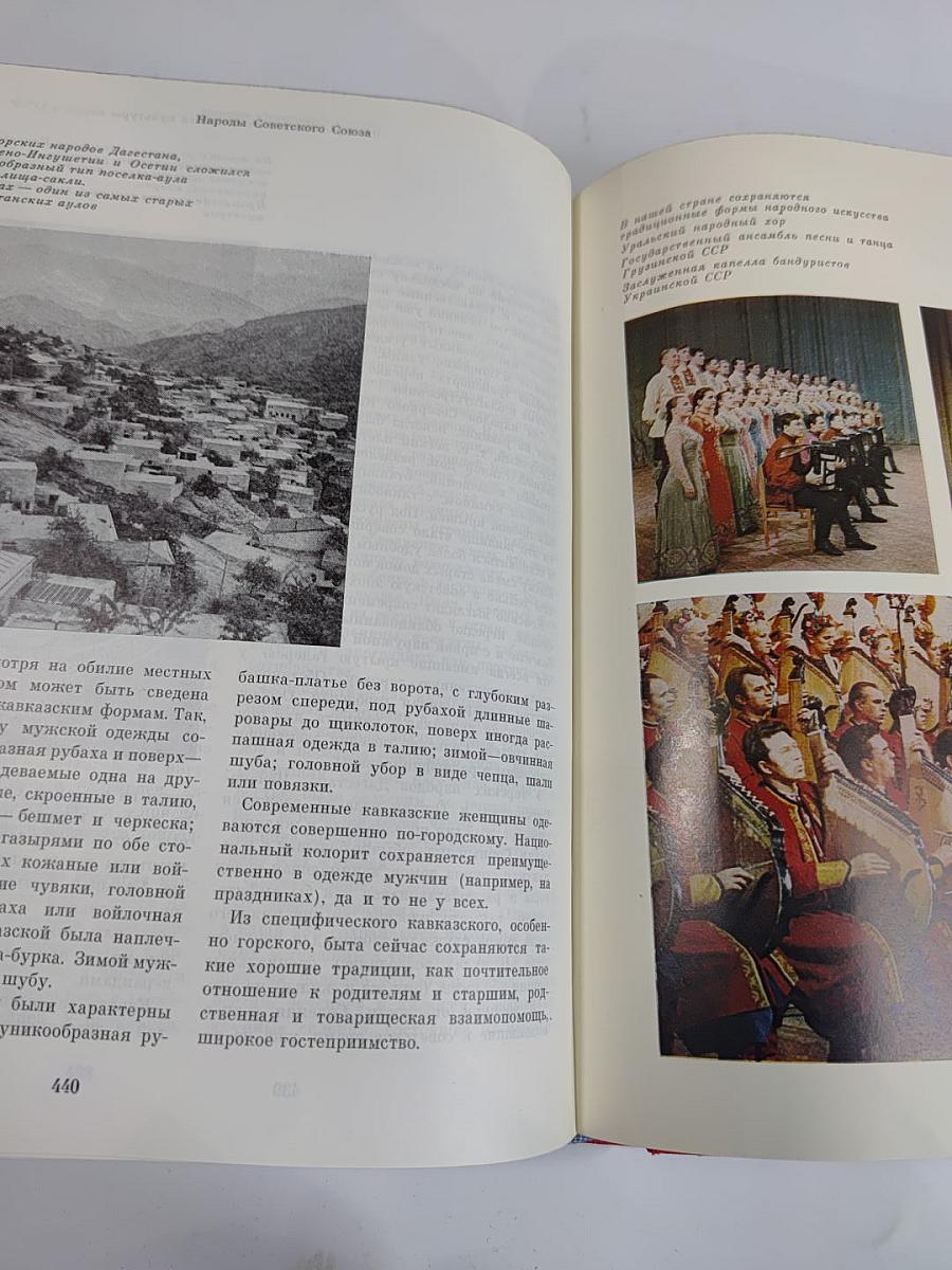 Общий обзор