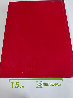 Общий обзор