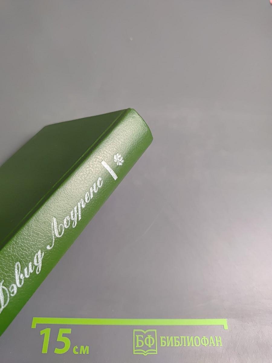 Сыновья и любовники. Флейта Аарона