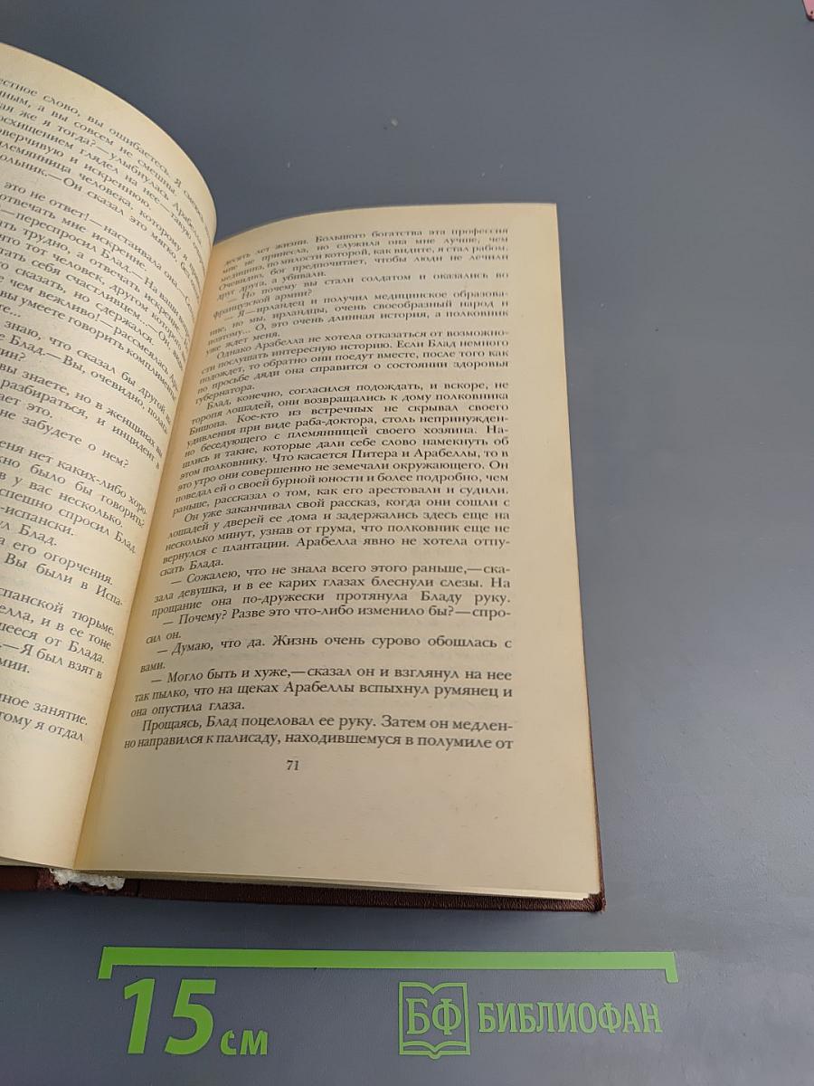 Одиссея капитана Блада. Хроника капитана Блада