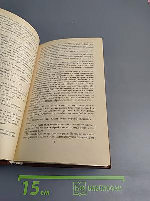 Одиссея капитана Блада. Хроника капитана Блада