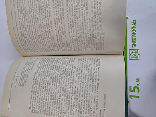 Зверобой, или Первая тропа войны