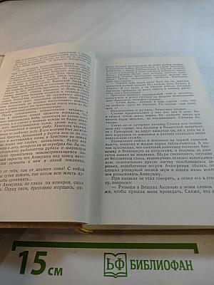 Тихий Дон, Книга четвертая