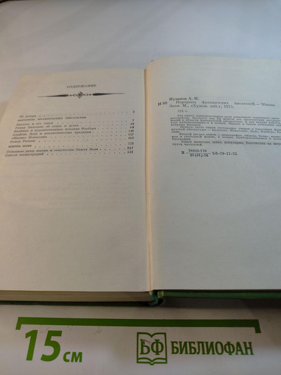 Портреты французских писателей. Жизнь Золя