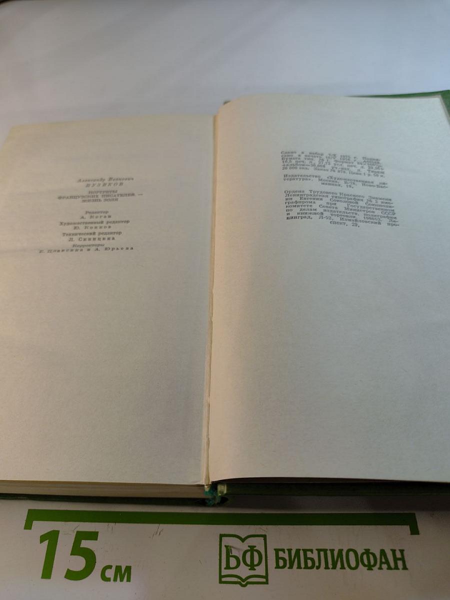 Портреты французских писателей. Жизнь Золя