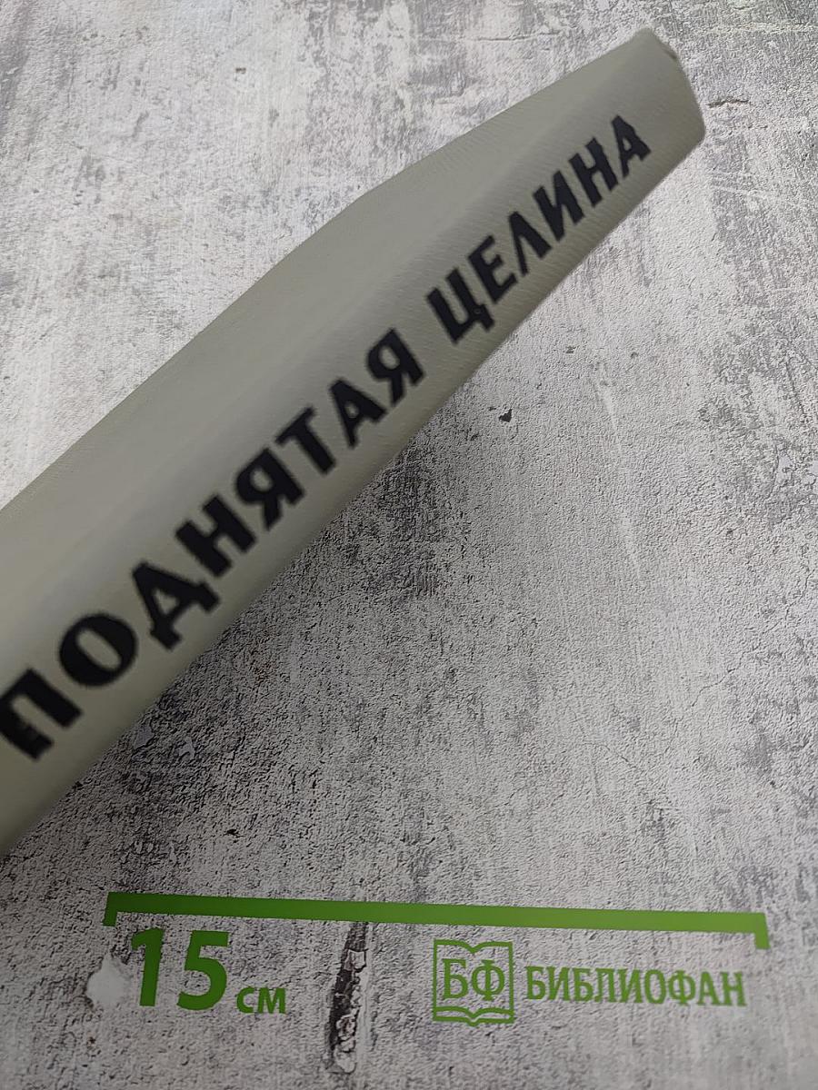 Поднятая целина. Том второй