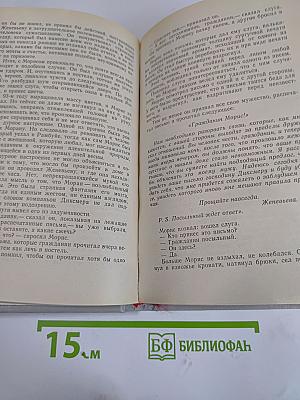 Кавалер Красного замка