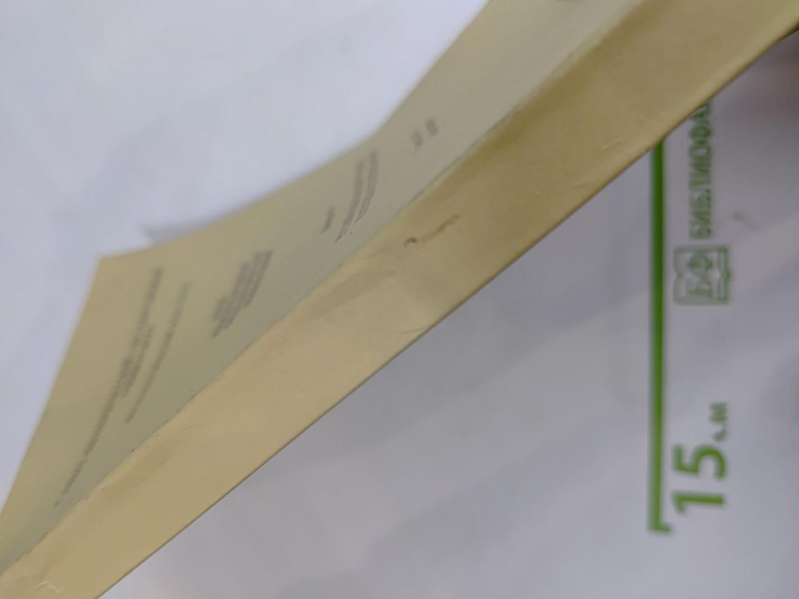 Русский язык как иностранный и методика его преподавания. Выпуск 15