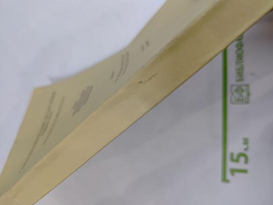 Русский язык как иностранный и методика его преподавания. Выпуск 15