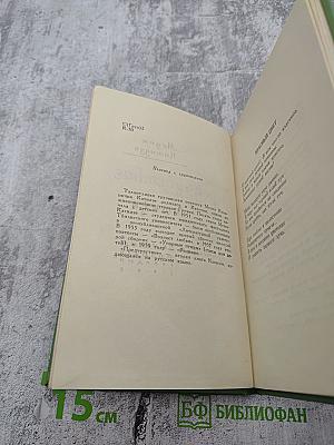 Предчувствие