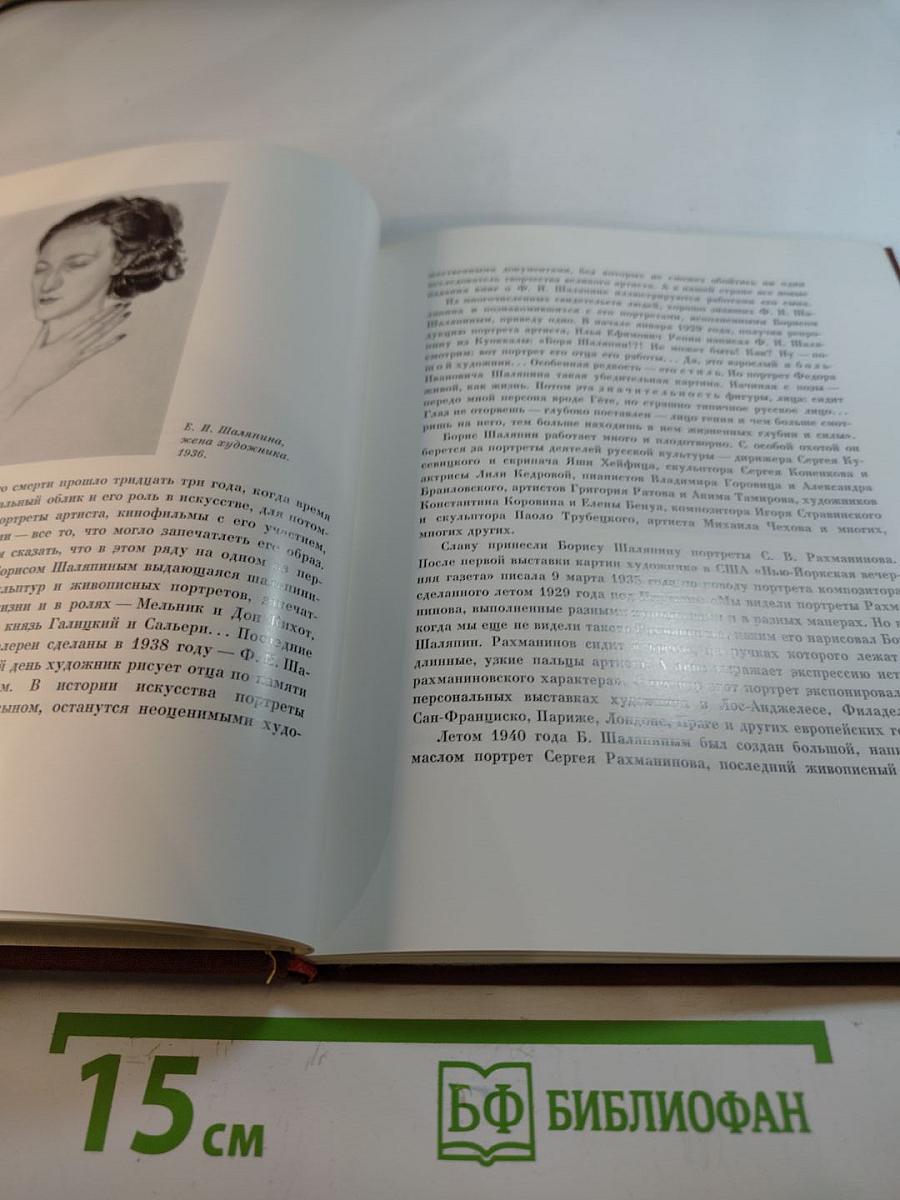 Художник Борис Шаляпин