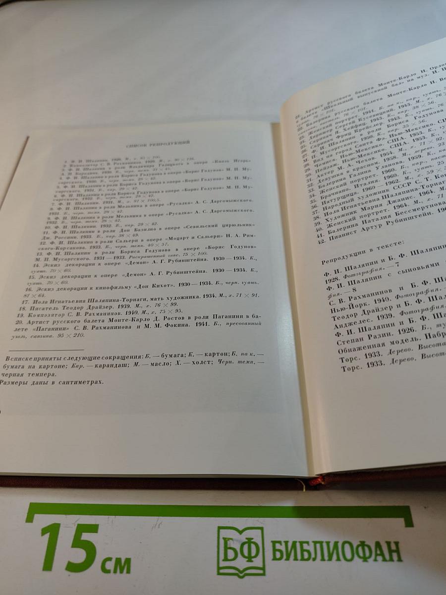 Художник Борис Шаляпин