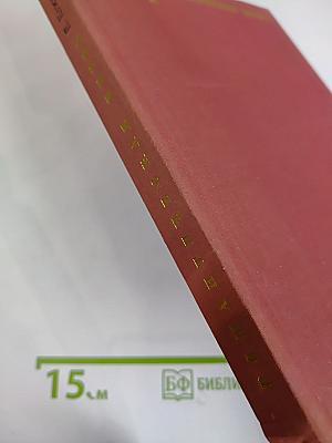 Романтическая битва. Очерки французской романтической живописи 1820-х годов