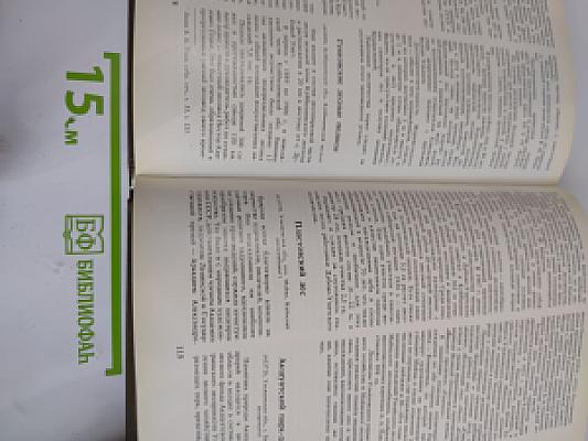 Лесные памятники