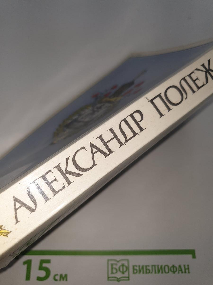 Стихотворения. Поэмы. Воспоминания современников