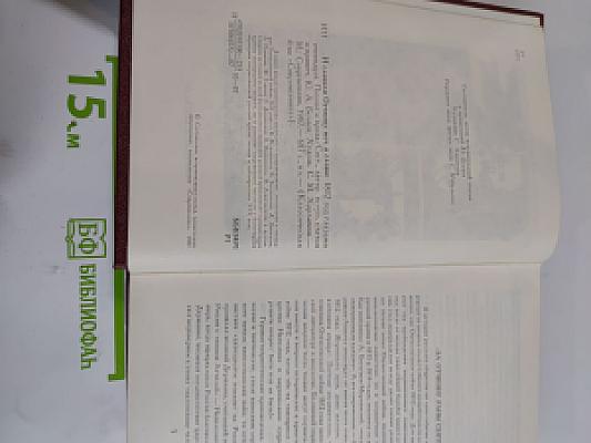 И славили Отчизну меч и слово