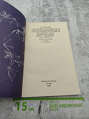 Летающие ночью