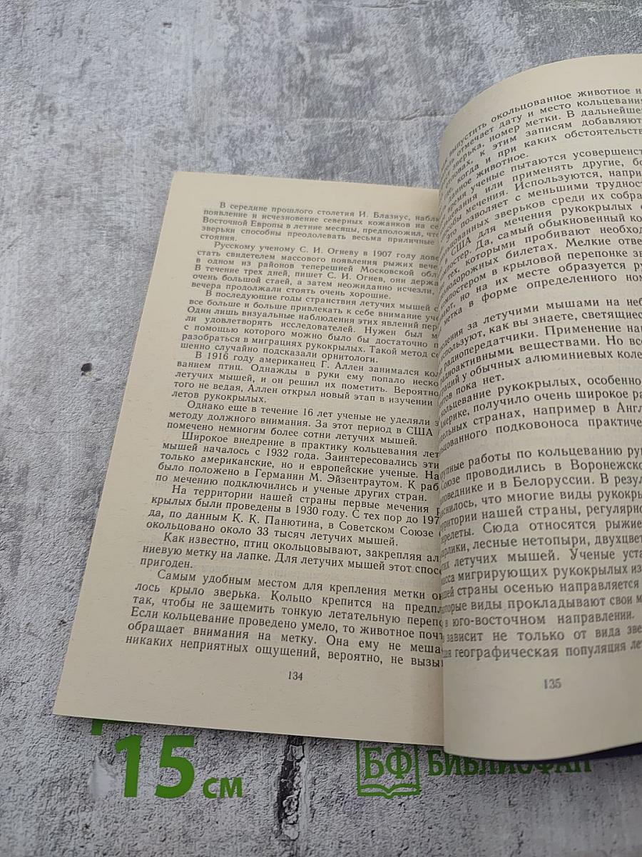 Летающие ночью